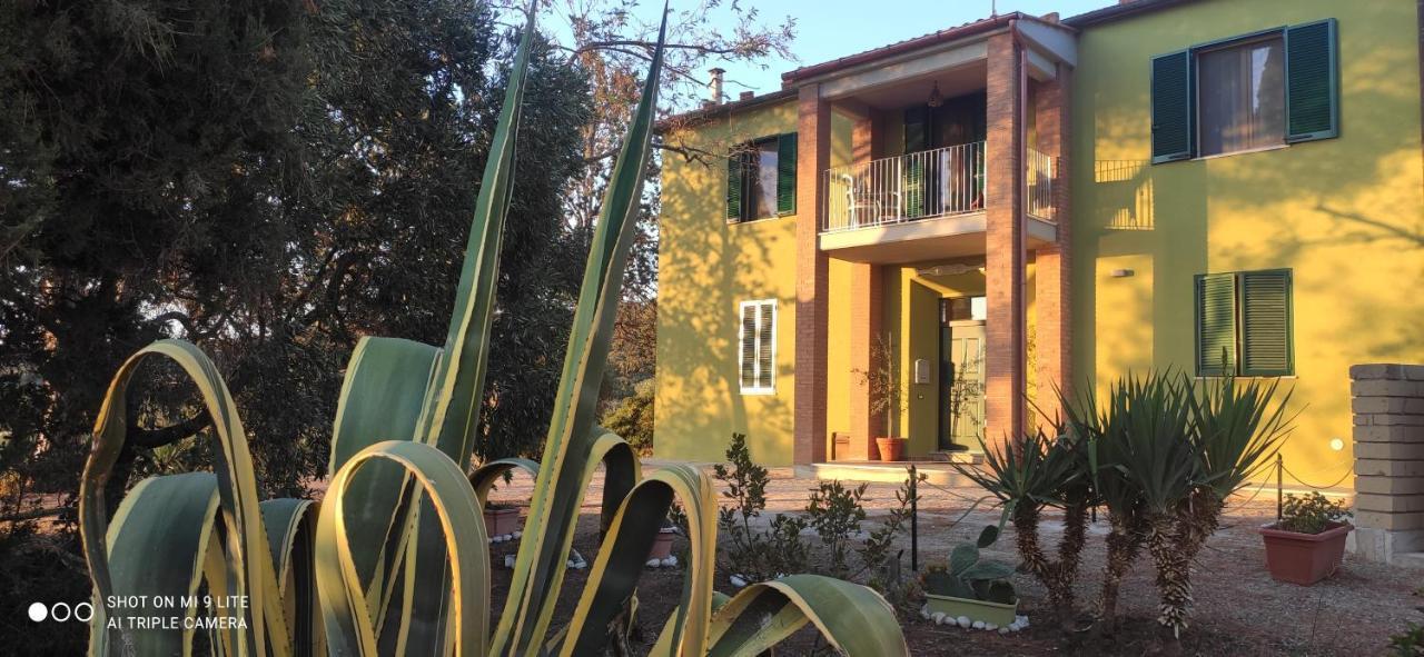 Agriturismo Poggio All'Olivo Follonica Exterior foto