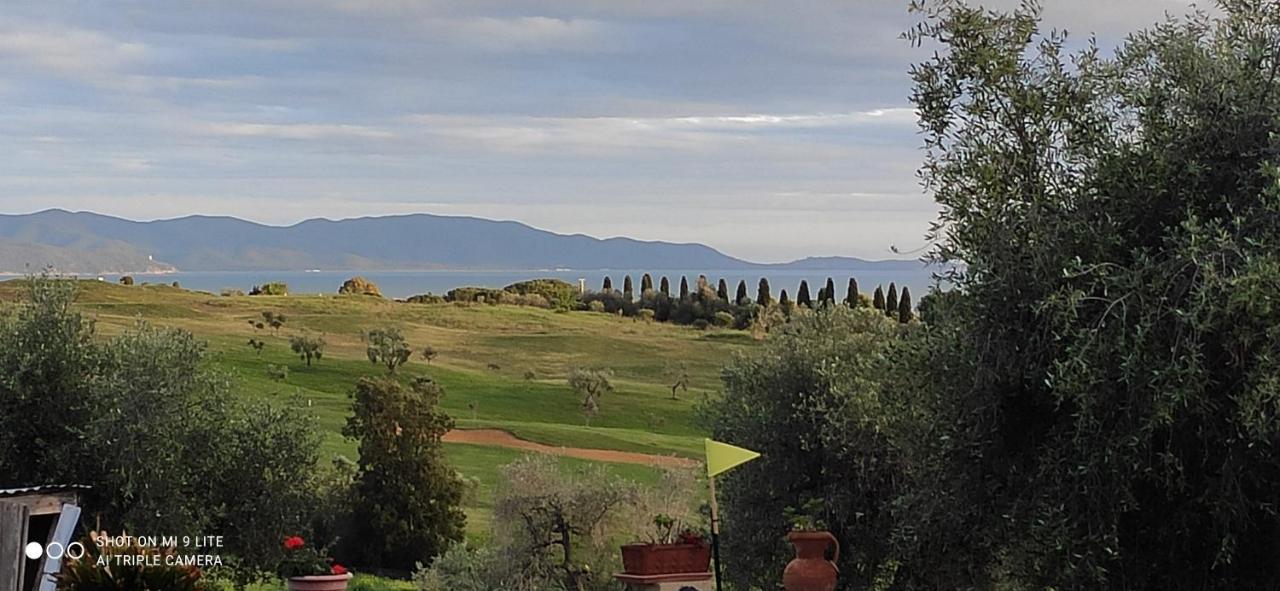 Agriturismo Poggio All'Olivo Follonica Exterior foto